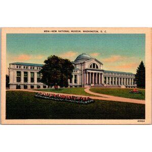 Vintage Linen Postcard – New National Museum Washington DC – Smithsonian Natural